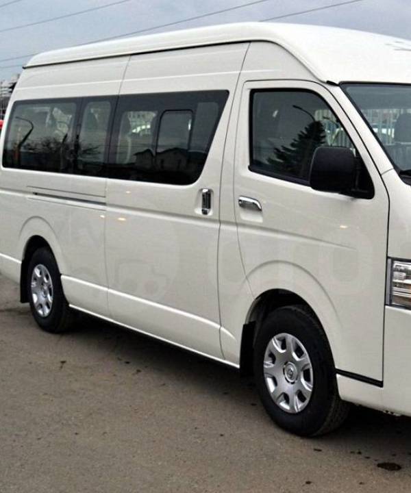 Wheelchair accessible taxi vehicle prepared for daily travel